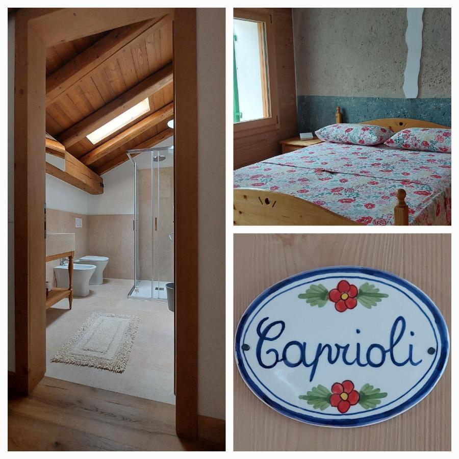 Agriturismo L'Eremo Volpago del Montello Dış mekan fotoğraf